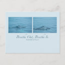 Suche nach buckel postkarten Wal