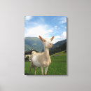 Suche nach für ziege poster leinwandbilder Bauernhof