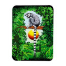 Suche nach lemur magnet magnete Wild
