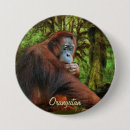 Suche nach primat buttons Orang utans