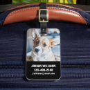 Suche nach corgi gepäckanhänger Haustier