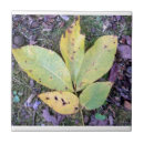 Suche nach herbstlaub fliesen Jede person