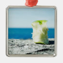 Suche nach nahrung ornamente Frucht