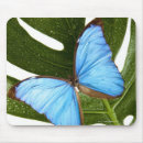 Suche nach blauer morpho schmetterling mousepads Nahaufnahme