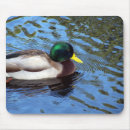 Suche nach kräuselungen mousepads Fotografie