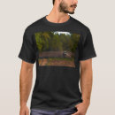 Suche nach wald fotodruck Landschaft