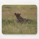 Suche nach löwe afrika mousepads Afrikanisch