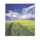 Suche nach canola Blau