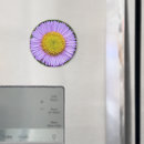 Suche nach oster magnete Botanisch