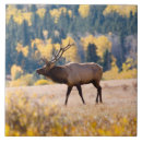 Suche nach schläge fliesen Schlag