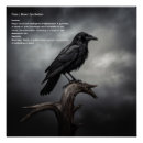 Suche nach crow poster Rabe