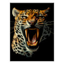 Suche nach leoparden poster Katze