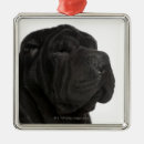 Suche nach shar pei ornamente Hund
