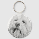 Suche nach goldendoodles schlüsselanhänger Mischrasse