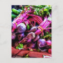 Suche nach rote rübe postkarten Lila