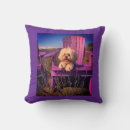 Suche nach shih tzu kissen Welpe