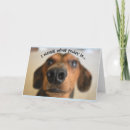 Suche nach lustige nase karten Tiere