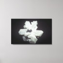 Suche nach namibia leinwandbilder Naturwissenschaften