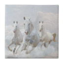 Suche nach pferdekopf fliesen Blau