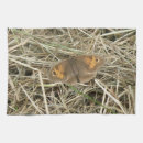Suche nach wiese geschirr tücher Tierwelt