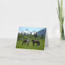 Suche nach das maultier karten Pferd