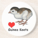 Suche nach guinea untersetzer Geflügel