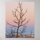 Suche nach kahl poster Blau