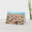 Suche nach seashells karten Muscheln