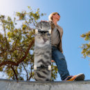 Suche nach kitten skaten Haustier