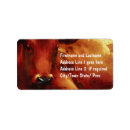 Suche nach metzger Bauer