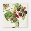 Suche nach blackberry magnete Obst