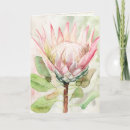 Suche nach protea karten Rosa