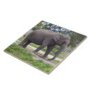 Suche nach asiatischer elefant fliesen Wildtiere