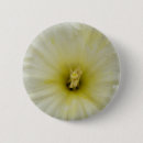 Suche nach narzissen blumen buttons Daffodien