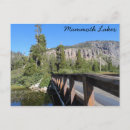 Suche nach mammoth postkarten Mammut