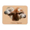 Suche nach alpakas magnete Tiere