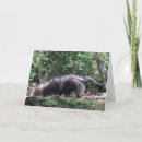 Suche nach anteater Gier anteater