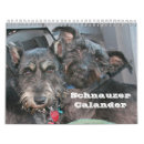 Suche nach calander kalender Tiere