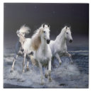 Suche nach läufer fliesen Tiere