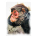 Suche nach niedliches gesicht poster Jede person