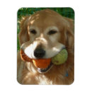 Suche nach tennisball magnete Bälle