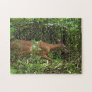 Suche nach rotwild puzzle Bäume