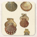 Suche nach seeleben untersetzer Ozean