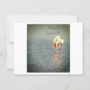 Suche nach spoonbill Tierwelt