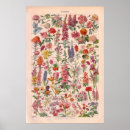 Suche nach blumenplakate poster Vintag
