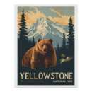 Suche nach grizzlybär poster Nationalpark