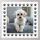 Suche nach bester hund poster Für kinder