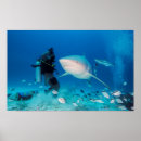 Suche nach karibisches meer poster Mexiko