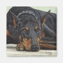 Suche nach dobermann magnete Welpe