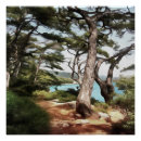 Suche nach pinus Grün